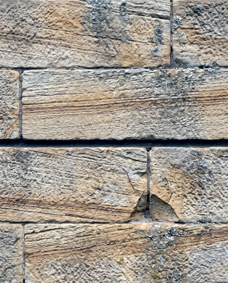 Extreme macro of Sydney honey sandstone showing ochre and cream mineral veining and iron oxide banding in raking light